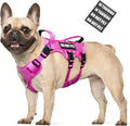 WINSEE Escape Proof Dog Harness with Double Handle+4 Removable Patches | Service Working Molle Harness with Double Handle for Medium Dogs, Tactical Pet Reflective Vest for Walking Hiking Hunting by WINSEE