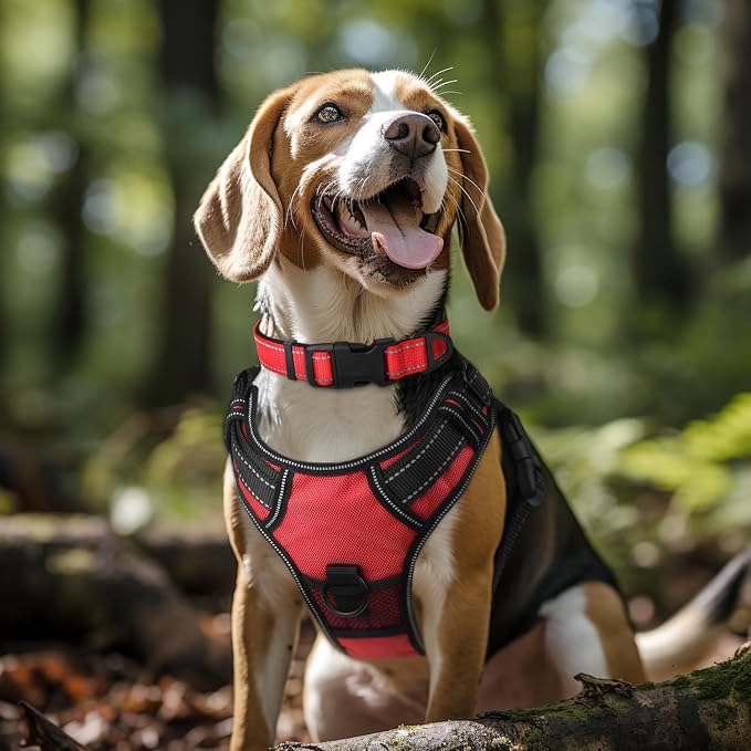 Joytale Reflective Dog Collar, Adjustable Neoprene Padded, Red L | Breathable Nylon for Large Dogs, No Chafing on Walks and Outdoor Hikes, Tear-Resistant Webbing, Metal D-Ring, Night Safety - Image 2