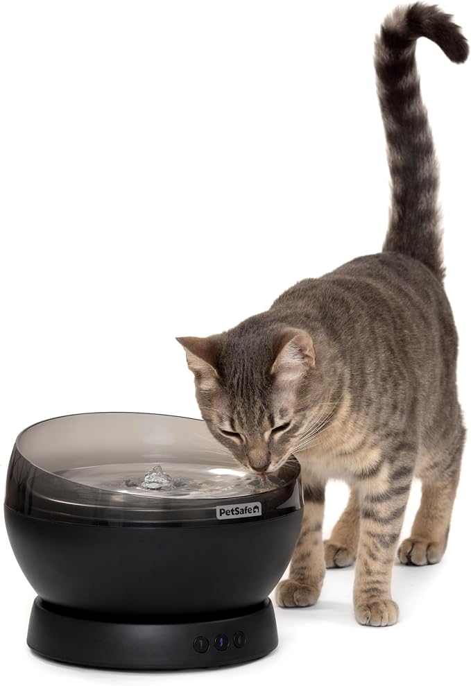 PetSafe HydroSphere Cordless Pet Fountain Battery Powered Water Fountain for Cats and Small Dogs Stainless Steel Tray Quiet Operation, Easy to Clean UVC Sanitation Black by PetSafe