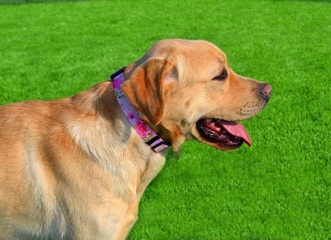 Mihqy Dog Collar for Large Dogs, Fashion Design, Pink Rose,L | Neck Fit 14.9"-24.8", Multiple Patterns，4 Sizes for Small Medium Large Dogs, Comfortable for Walks and Outdoor Hikes - Image 5