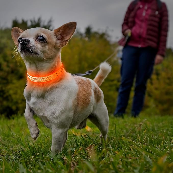 Illumifun Light Up Dog Collar for Small Dogs Cats, Rechargeable LED Dog Collar Glow at Night, Adjustable Nylon LED Cat Collar Light (Orange, X-Small) - Image 7