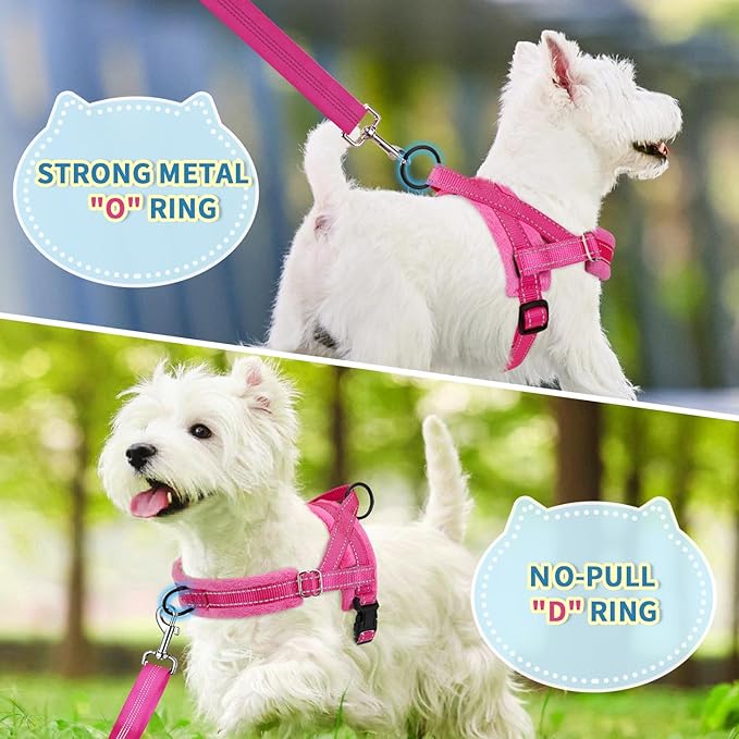 SlowTon No Pull Small Dog Harness and Leash Set with Front Clip | Soft Padded, Neck & Chest Adjustable, Lightweight, Anti-Twist, Puppy Vest Harness Pet Lead Combo for Small Medium Dog, FU, M - Image 4