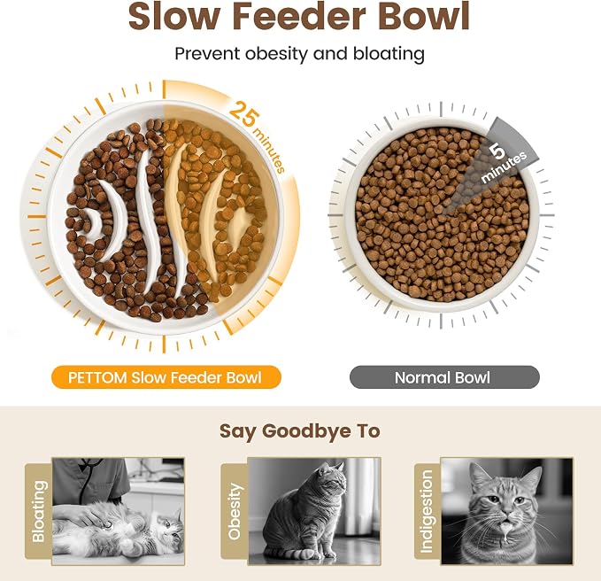 PETTOM Slow Feeder Cat Bowl Elevated Ceramic with Bamboo Stand, Raised Pet Puzzle Dishes for Indoor Cats Small Dog, Anti Vomit Cat Bowl for Wet & Dry Food - Image 2