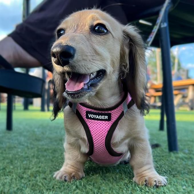 Voyager Step-in Air Dog Vest Harness - Pink/Black Trim, Small | 14.5-16" in Chest, Reflective Bands, All Weather Breathable Air Mesh, Cats Compatible, Lightweight, Fast Drying - Image 7
