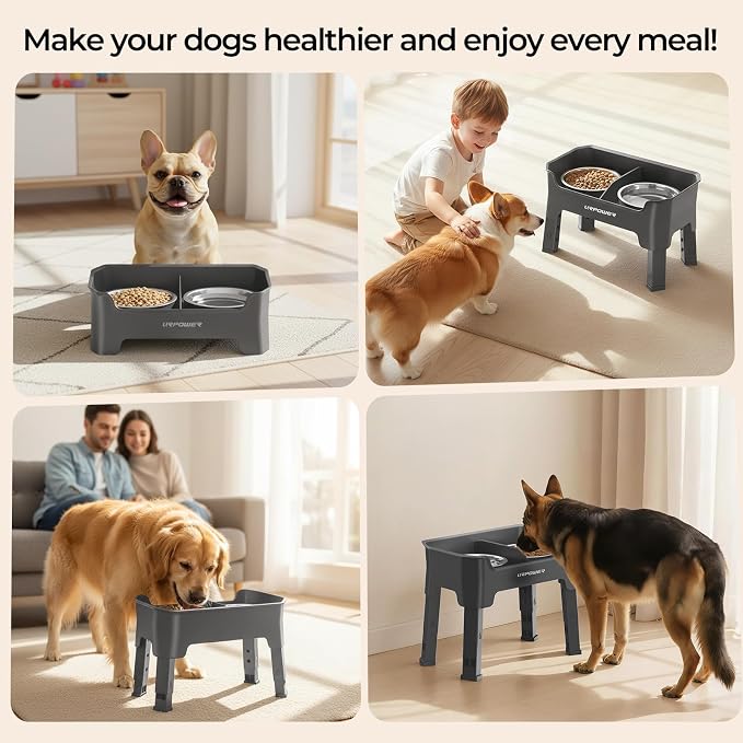 URPOWER Mess Proof Elevated Dog Bowls, Splash Guard Raised Bowl Stand | 4 Adjustable Heights, 2 Stainless Steel Bowls, Food & Water Separation, Foldable Design Non-Slip for Small Medium Large Dogs - Image 8