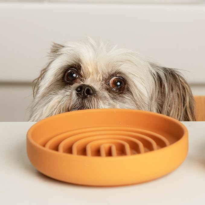 Should We Go? Slow Feeder Dog Bowls - Small Size Silicone Slow Eating Dog Bowl for Puppies & Dogs with Suction Cup -Dishwasher-Safe,Lick Mat Design,Reduces Gulping,for All Breeds, 6”x1.25”-Terracotta - Image 7