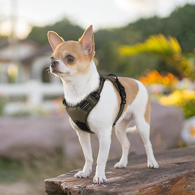 Eagloo Dog Harness for Small Dogs, No Pull Pet Vest with 2 Leash Clips | No Choke with Handle, Adjustable Comfort Fit, Reflective Strips, Easy Walking Control, Brown, X-Small - Image 9