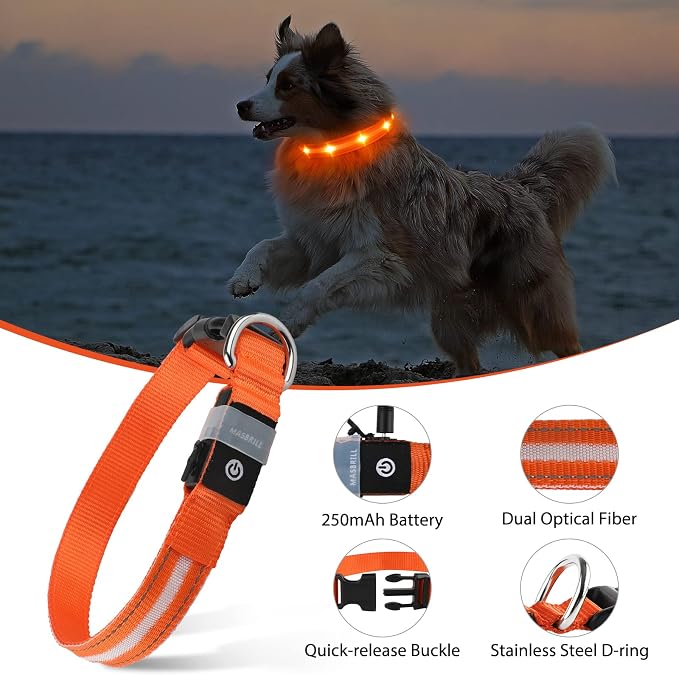 MASBRILL Led Dog Collar, Rechargeable Water-Resistant Flashing Glowing Night Safety Adjustable Illuminated Collar - Image 3