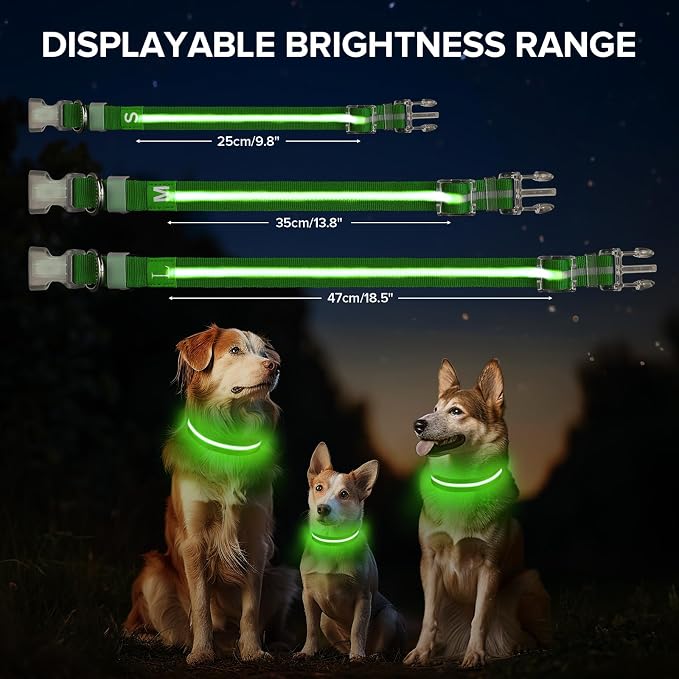 LED Dog Collar, Light Up Dog Collar USB-C Rechargeable Waterproof | 360° Visibility Light Up Dog Collar, Adjustable Nylon Collar with 3 Modes for Small Medium Large Dogs Night Walk Green S - Image 4