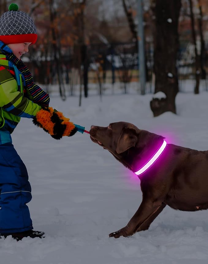 Weesiber Light Up Dog Collar - LED Dog Collar Rechargeable Glow in The Dark Pet Collar, Reflective Safety Dog Lights for Night Walking(Pink, L) - Image 9