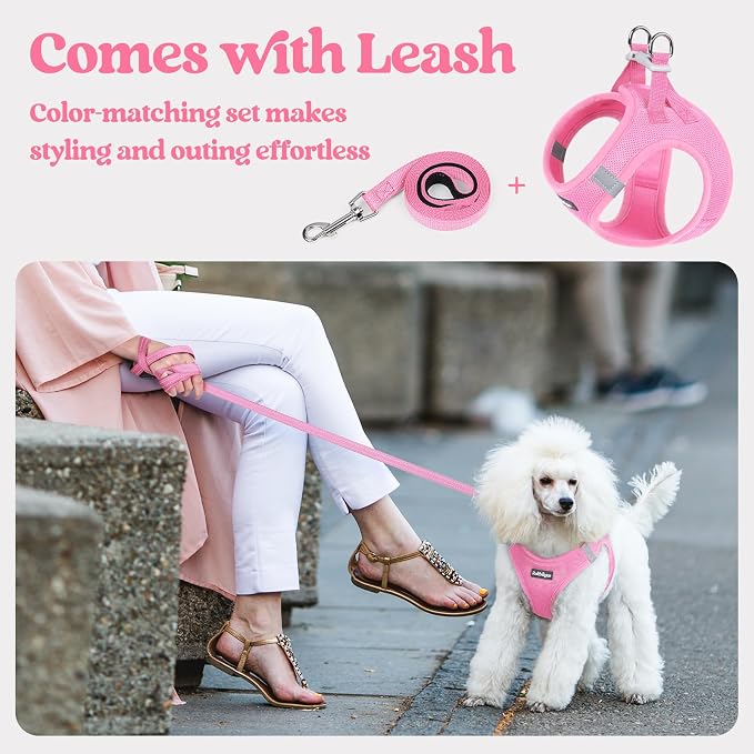 rabbitgoo Dog Harness Medium Sized and Leash Set, Step-in Puppy Pet Vest | Light, Soft, Breathable Air Mesh, Easy on and Remove with Hook & Loop, Secure Reflective for Walking, Light Pink XL - Image 5