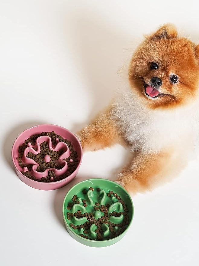 LE TAUCI Dog Bowls Slow Feeder Ceramic, 1.5 Cup Slow Feeding Bowl for Small and Medium Breed, Puzzle Dog Food Bowl for Fast Eater, Pink+Green - Image 3
