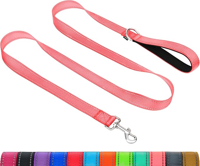 Taglory Reflective Dog Leash for Medium Large Dogs, 1in x 5ft, Pink | Ideal for Night Walking, Strong for Sudden Pulls, Lightweight & Gentle on the Neck, Soft Padded Handle by Taglory