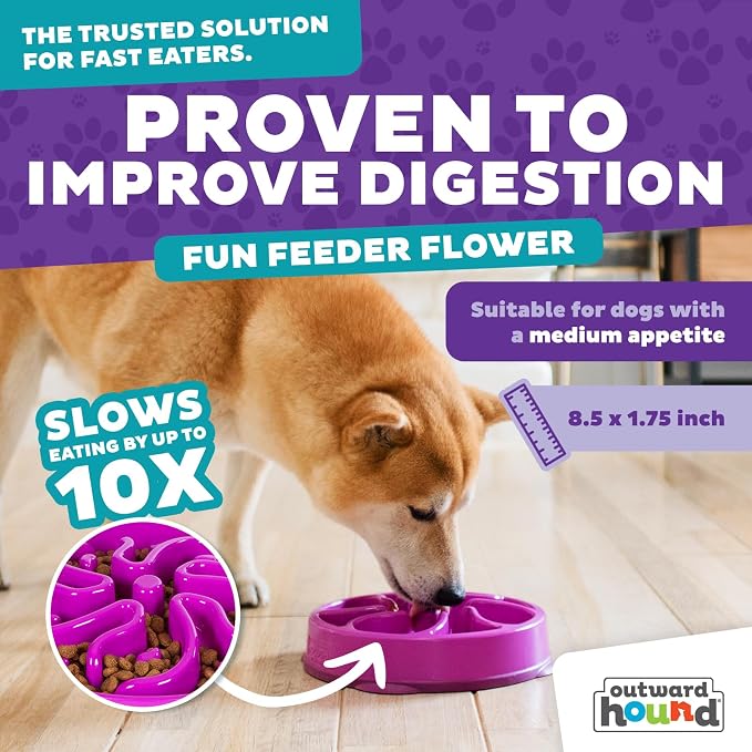 Outward Hound Fun Feeder Slo Bowl – Medium 2‑Cup Capacity,Slow Feeding,Small to Medium Dogs & Cats,Non-Slip,Purple,Flower Pattern,(Pack of 12) - Image 4