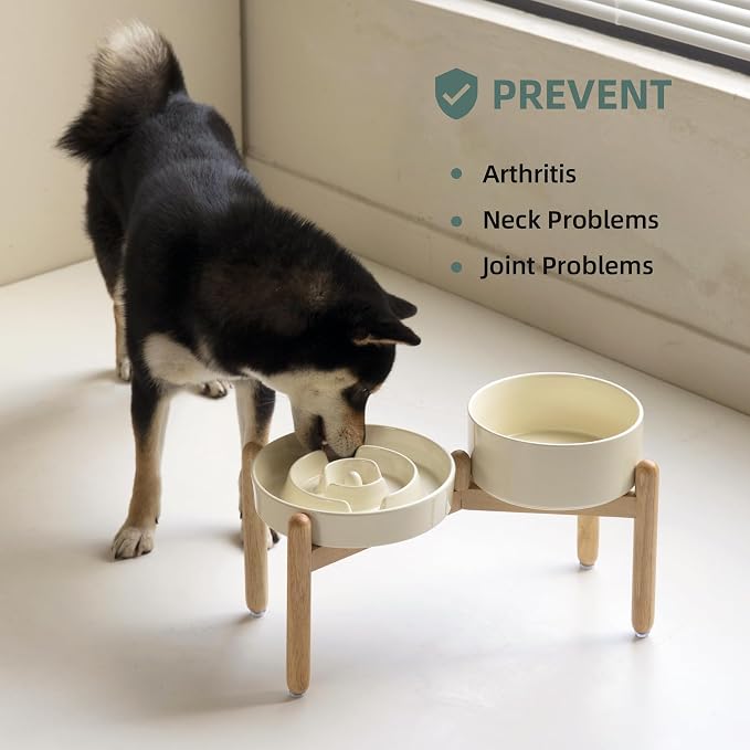 Havniva Elevated Slow Feeder Dog Bowls, Ceramic Dog Bowl Slow Feeder Set | 1.6 Cups Raised Slow Feeder Dog Bowl for Medium Breed, 7.3” Dog Water Bowl with Wooden Stand, Puzzle Dog Food Bowl, Non-slip - Image 6