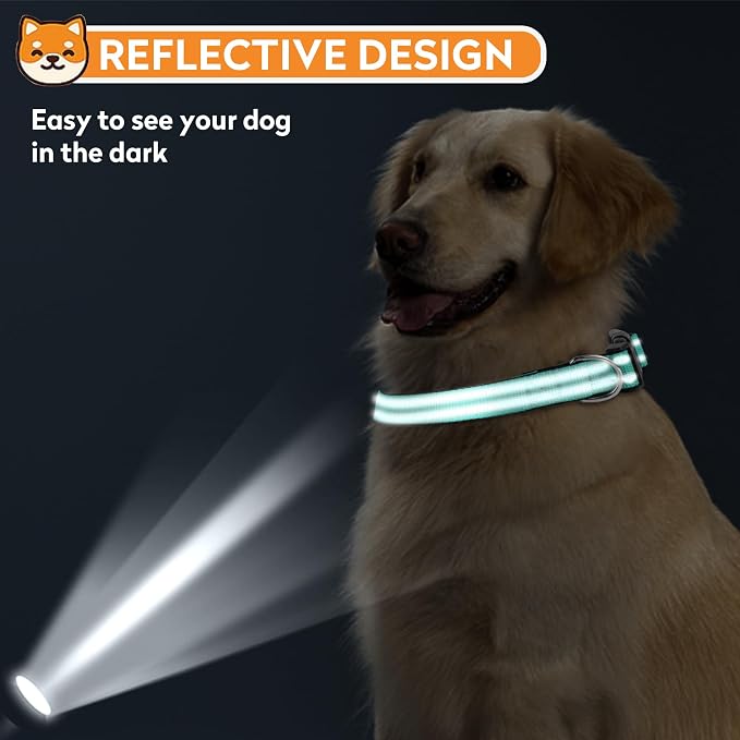 Reflective Dog Collar, Adjustable Soft Neoprene Padded,Teal,M | Breathable Nylon for Medium Dogs,Tear-Resistant Webbing,Chafe‑Free on Walks and Hikes,Metal D-Ring,Night Safety - Image 6