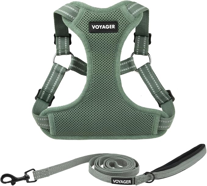 Best Pet Supplies Voyager Adjustable Step-in Flex Breathable Mesh Dog Harness for Small Medium Large Dogs Leash Set (Moss Green), L by BestPetSuppliesLLC