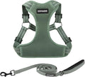 Best Pet Supplies Voyager Adjustable Step-in Flex Breathable Mesh Dog Harness for Small Medium Large Dogs Leash Set (Moss Green), L by BestPetSuppliesLLC