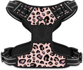 Rnivvi No Pull Dog Harness, Cute Leopard Reflective Medium Sized Puppy Kitten Harness, Adjustable Soft Padded Vest for Medium Dogs, Heavy Duty Pet Vest with Easy Control Handle for Walking, Pink by Rnivvi