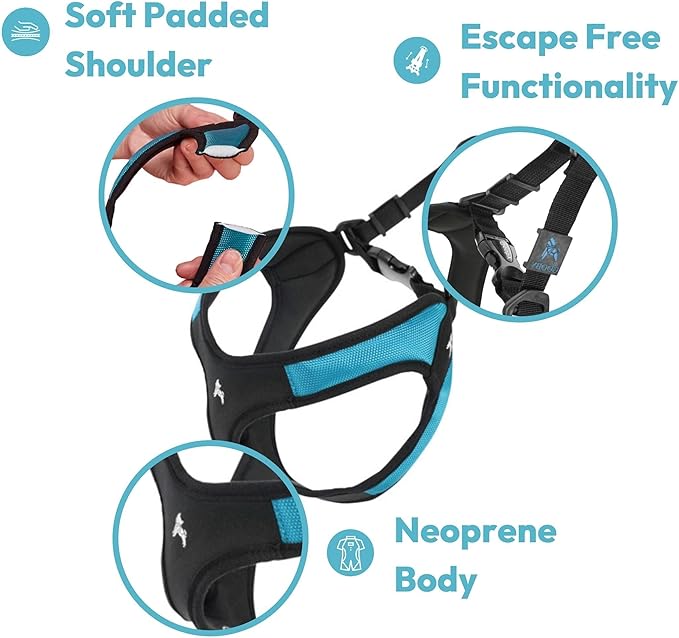 Gooby Escape Free Easy Fit Dog Harness, Step-in, Black, Small | Patented escape-free frame; Contracts if they back out; Step-in easy on/off; Machine washable; Light POM leash ring - Image 4