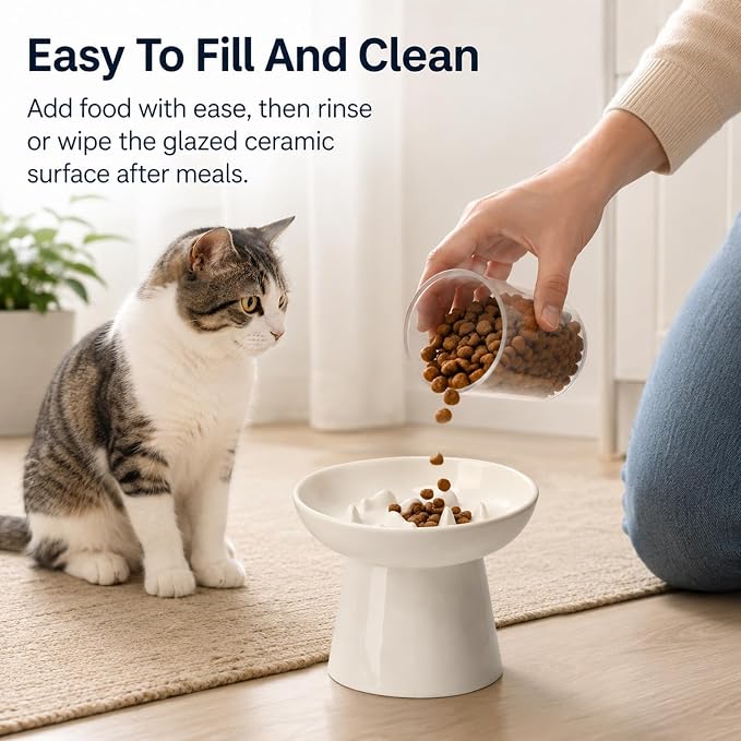Cat Slow Feeder Bowl, Ceramic Elevated Cat Slow Feeder Bowl, Shallow Wide Opening Dish for Kitty, Anti Vomiting for Dry and Wet Food, Anti-Slip Design, White - Image 2
