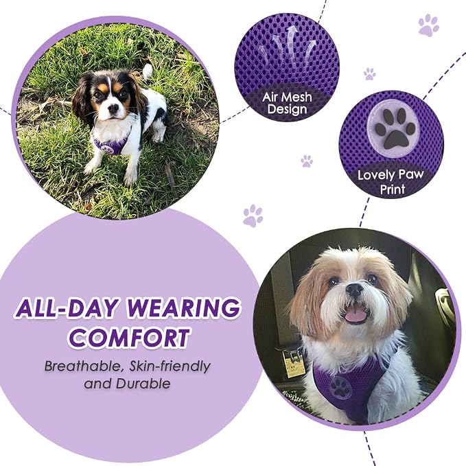 Lukovee Dog Car Harness Seat Belt, Harness & Seatbelt with 2 in 1 Buckle | Adjustable Soft Breathable Mesh Harness, Reflective Elastic Reflective Tether, for Small Medium Large Dogs Pets (Purple,3XS) - Image 3