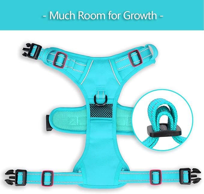 PoyPet No Pull Dog Harness, Reflective Vest with 2 Leash Clips & Handle | Lockable Neck Release Buckle, No Choke, Adjustable, Soft Padded, for Walking Training, Mint Blue Matching Trim, Large - Image 6