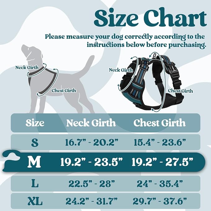 rabbitgoo Dog Harness Medium Sized, Updated Easy On & Off with 3 Buckles | No Pull No Choke, Walking with 2 Clips and Handle, Adjustable Soft Reflective, Blue Coral, Medium - Image 2