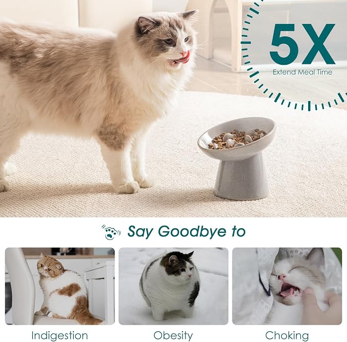 vancasso Ceramic Slow Feeder Cat Bowl, 6.25 Inch Elevated Cat Slow Feeder Bowl, Anti Vomiting for Dry and Wet Food, Grey - Image 4