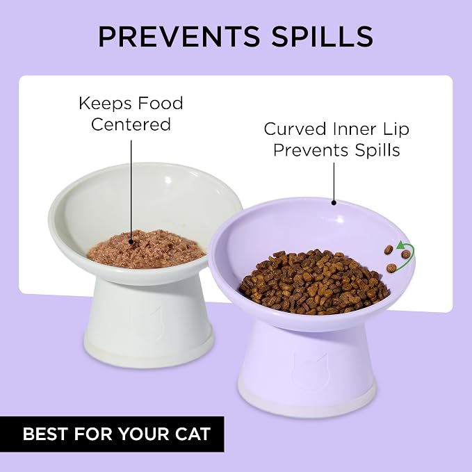 Necoichi BPA-Free Elevated Cat Food Bowls, 15° Tilted, 2-Pack (Lilac Ice) - Image 4