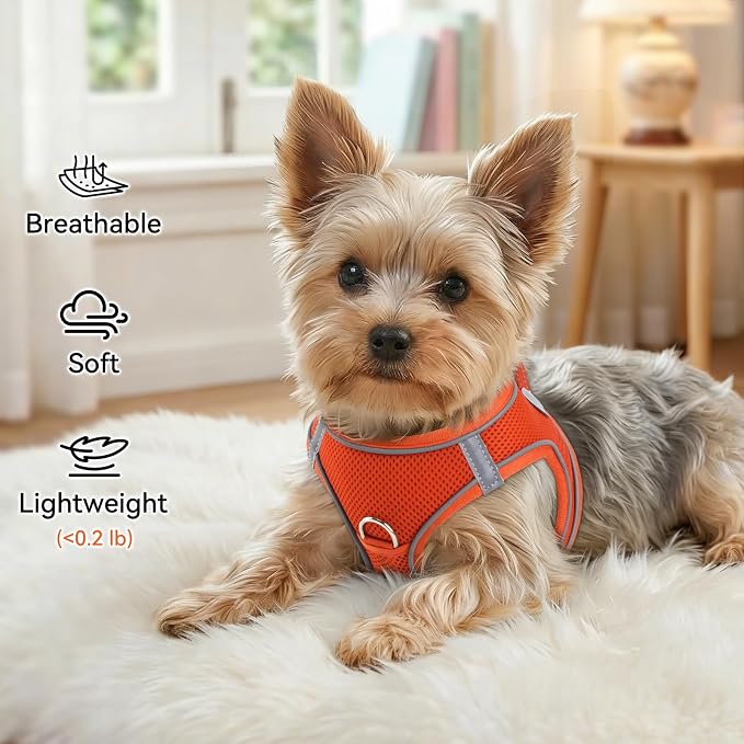 Joytale Step-in Dog Harness, Soft Breathable Mesh, Orange L | Adjustable Fit for Small Dogs, Easy Step-in with Secure Fastener, Even Chest Pressure, Reflective For Night Safety, Washable - Image 4