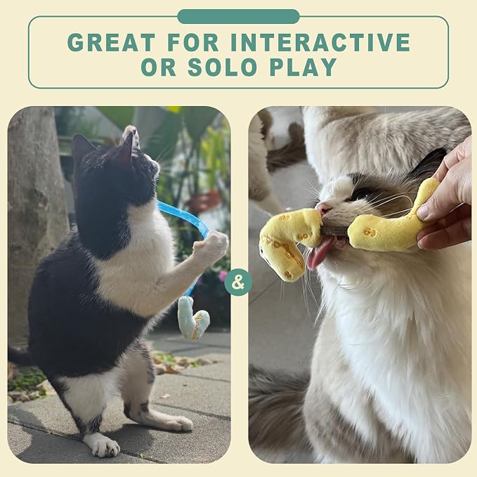 Interactive Cat Toys Set, Silvervine Chew Sticks and Cat Spring Toy, Indoor Catnip Toys for Exercise and Dental Care, for Adult Cats and Kittens (10 Packs) - Image 6