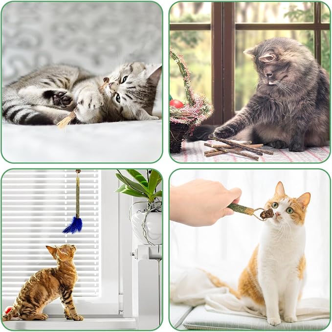 Bissap 12 PCS Silvervine Chew Sticks for Cats, Catnip Chew Sticks Cat Toys for Indoor Cat Kitten Teeth Grinding Interactive Feather Toys for Aggressive Chewers Dental Care - Image 5
