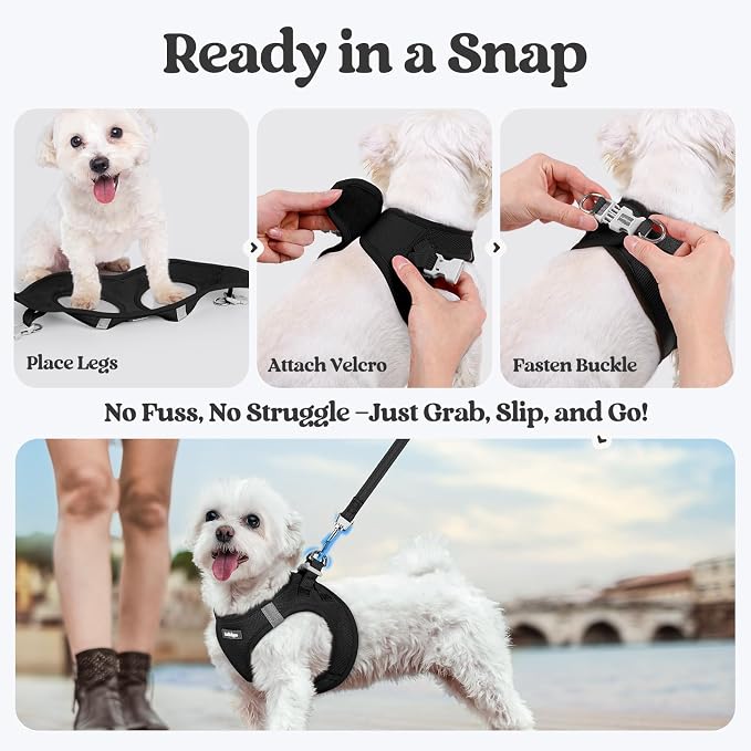 rabbitgoo Dog Harness Small Sized and Leash Set, Step-in Puppy Pet Vest | Light, Soft, Breathable Air Mesh, Easy on and Remove with Hook & Loop, Secure Reflective for Walking, Black XXS - Image 8