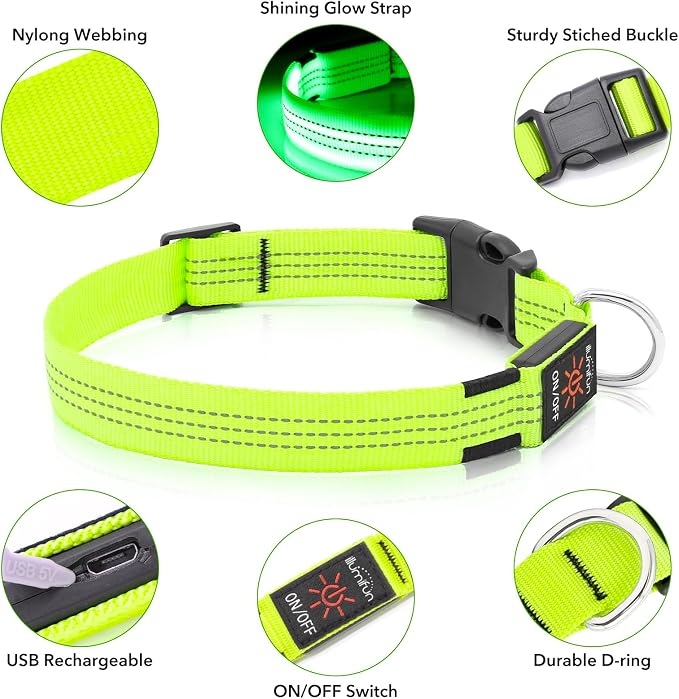 Illumifun LED Dog Collar, Rechargeable Light Up Collars, Reflective Safety Collar Light for Nighttime Walking Camping (GreenⅢ, Medium) - Image 3