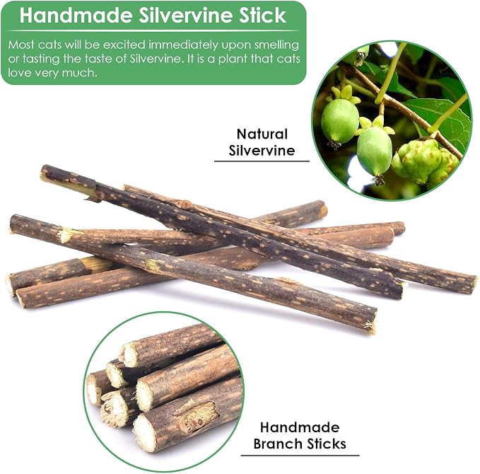 Bissap 12 PCS Silvervine Chew Sticks for Cats, Catnip Chew Sticks Cat Toys for Indoor Cat Kitten Teeth Grinding Interactive Feather Toys for Aggressive Chewers Dental Care - Image 4