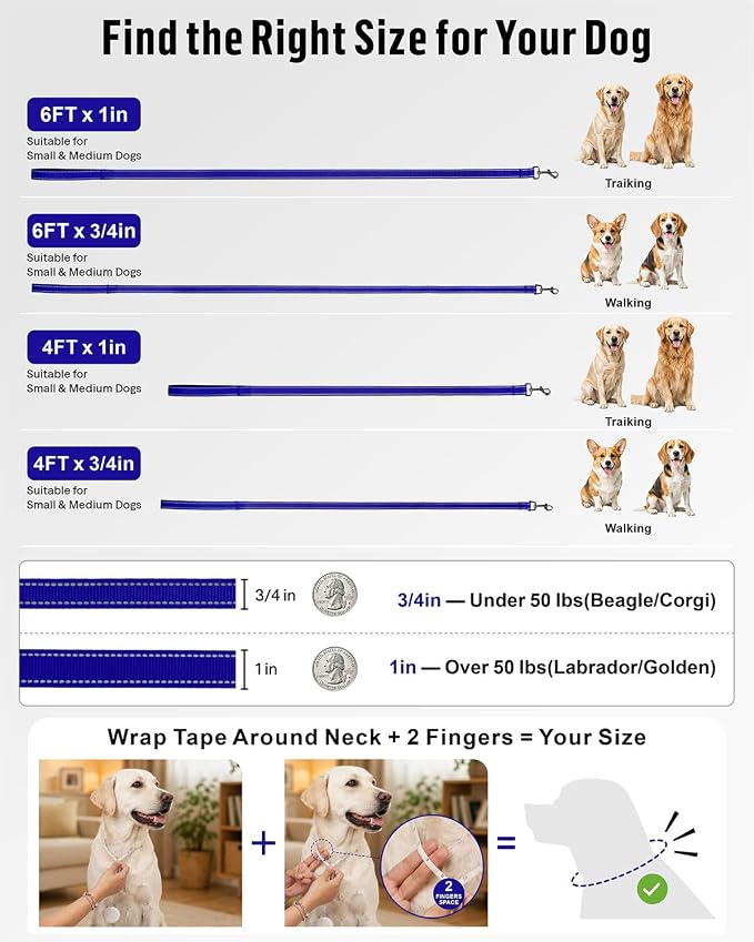 FunTags Reflective Nylon Dog Leash for Small & Medium Dogs, 4FT Training | Comfortable Padded Grip, Stay Safe at Night, 360° Anti-Tangle Swivel, for Dog Parks & Trails, Royal Blue - Image 7