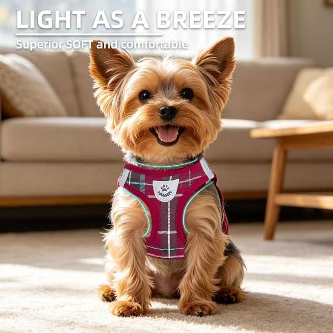 PUPTECK Dog Harness, Collar and Leash Set No Pull for Small Medium Sized | Plaid Puppy Step-in Escape Proof Reflective No Choke Pet Cat Adjustable Walking Vest - Image 3
