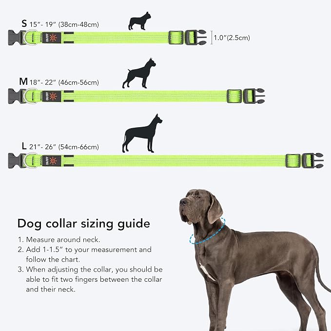 Weesiber Light Up Dog Collars - Rechargeable LED Collar - Reflective Adjustable Dog Lights for Night Walking (Green, Small) - Image 4
