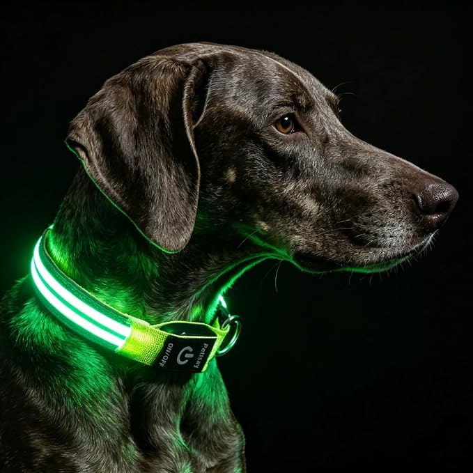 Light Up Dog Collar for Night Walking, Reflective LED Collar(Green, Medium) | Bright Safety Glow in the Dark, Adjustable Comfort Fit, Waterproof, Long Runtime, Easy USB-C Charging by PetIsay