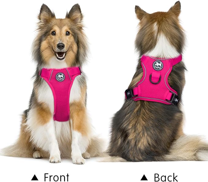 PoyPet Mesh Dog Harness, Reflective Breathable Puppy Vest for Large Dogs | Lightweight, Soft Air Mesh, Back D-ring, Adjustable, Comfortable, Double Padded, No Choke, for Daily Walking, L, Fuchsia - Image 2