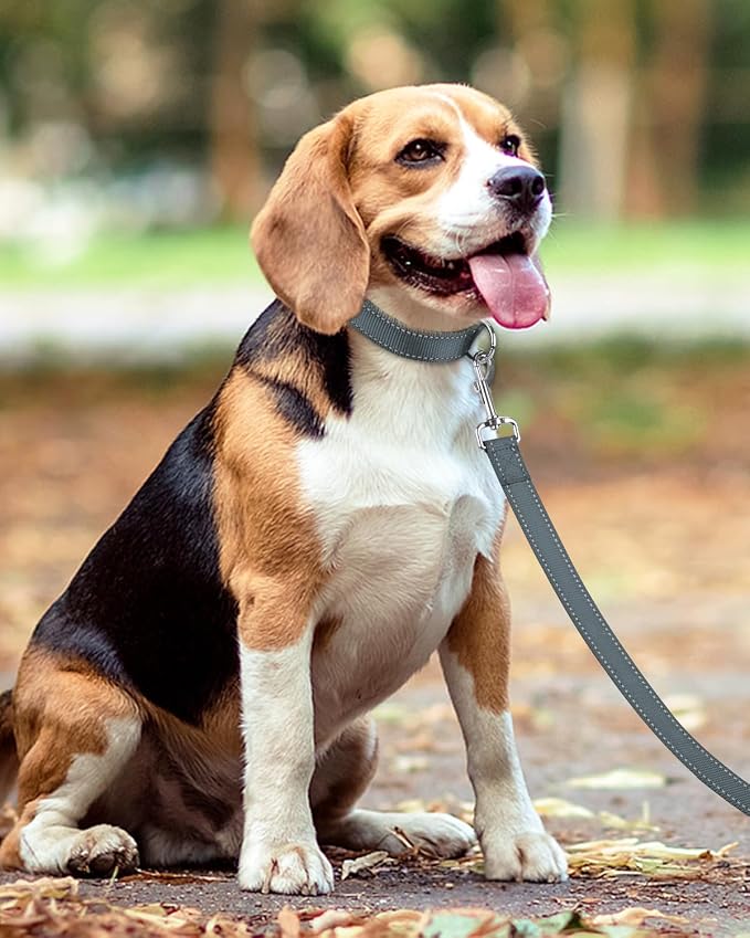 Taglory Reflective Dog Leash for Small Dogs, 3/4in x 6ft, Grey | Ideal for Night Walking, Strong for Sudden Pulls, Lightweight & Gentle on the Neck, Soft Padded Handle - Image 6