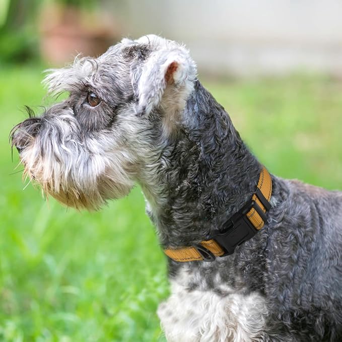 Joytale Reflective Dog Collar, Adjustable Neoprene Padded, Khaki S | Breathable Nylon for Small Dogs, No Chafing on Daily Walks and Training, Gentle on Neck, Secure Metal D-Ring, Night Safety - Image 2