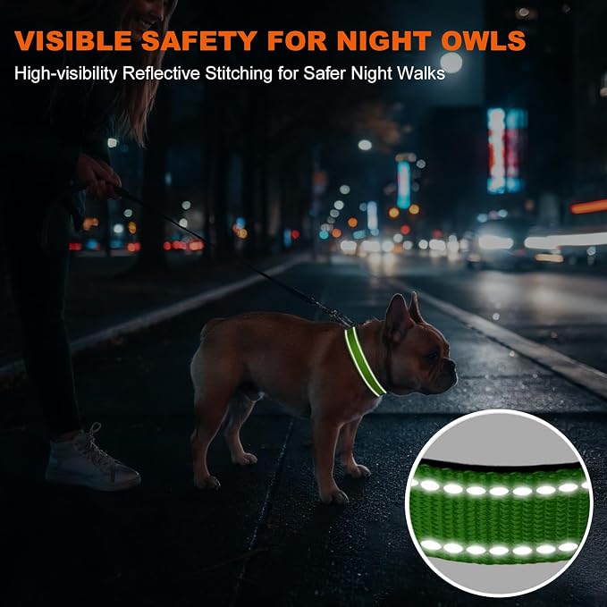 Taglory Reflective Small Dog Collar, Comfortable for Safe Night Walks,Green | Night-Walk Visibility, Soft Neck Cushioning, Adjustable 10-16 in, Locking Buckle, D-Ring for Leash and ID Tags - Image 5