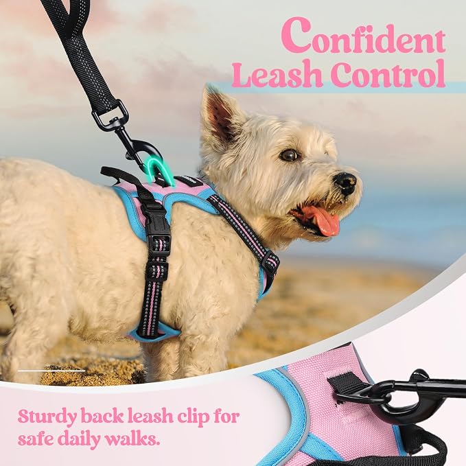 rabbitgoo Dog Harness, No Pull for Small Dogs with 2 Leash Clips, Pet Vest | No Choke with Handle, Adjustable Soft Padded, Reflective, Easy Control for Walking, Pink & Blue, X-Small - Image 6