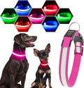 Visinite LED Dog Collar USB Rechargeable, Reflective Light Up Pet Collar for Night Walking, Adjustable Glow Collar for Small Medium Large Dogs (Pink, M) by Visinite