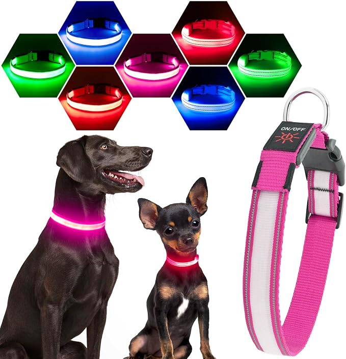 Visinite LED Dog Collar USB Rechargeable, Reflective Light Up Pet Collar for Night Walking, Adjustable Glow Collar for Small Medium Large Dogs (Pink, M) by Visinite