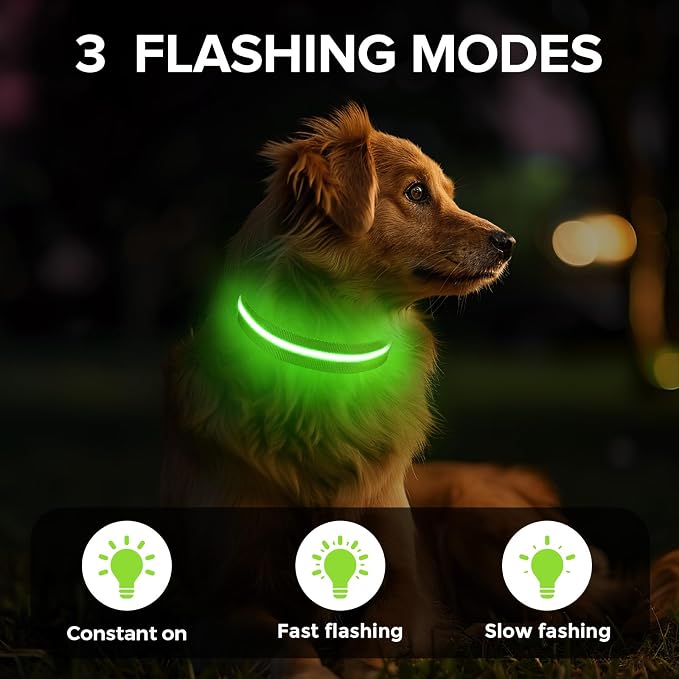 LED Dog Collar, Light Up Dog Collar USB-C Rechargeable Waterproof | 360° Visibility Light Up Dog Collar, Adjustable Nylon Collar with 3 Modes for Small Medium Large Dogs Night Walk Green S - Image 3