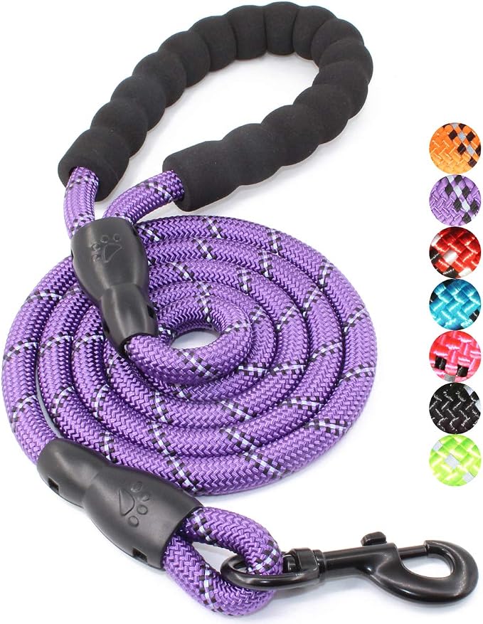 2/4/5/6 FT Dog Leash with Comfortable Padded Handle and Highly Reflective Threads for Small Medium and Large Dogs (5FT-1/2'', Purple) by BAAPET