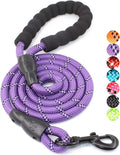2/4/5/6 FT Dog Leash with Comfortable Padded Handle and Highly Reflective Threads for Small Medium and Large Dogs (5FT-1/2'', Purple) by BAAPET